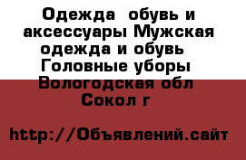 Одежда, обувь и аксессуары Мужская одежда и обувь - Головные уборы. Вологодская обл.,Сокол г.